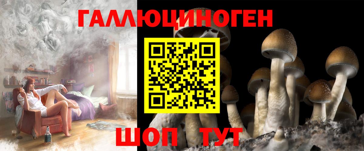 Прокопьевск  Псилоцибиновые грибы Psilocybe  Вход с VPN 